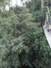 Canopy Walkway